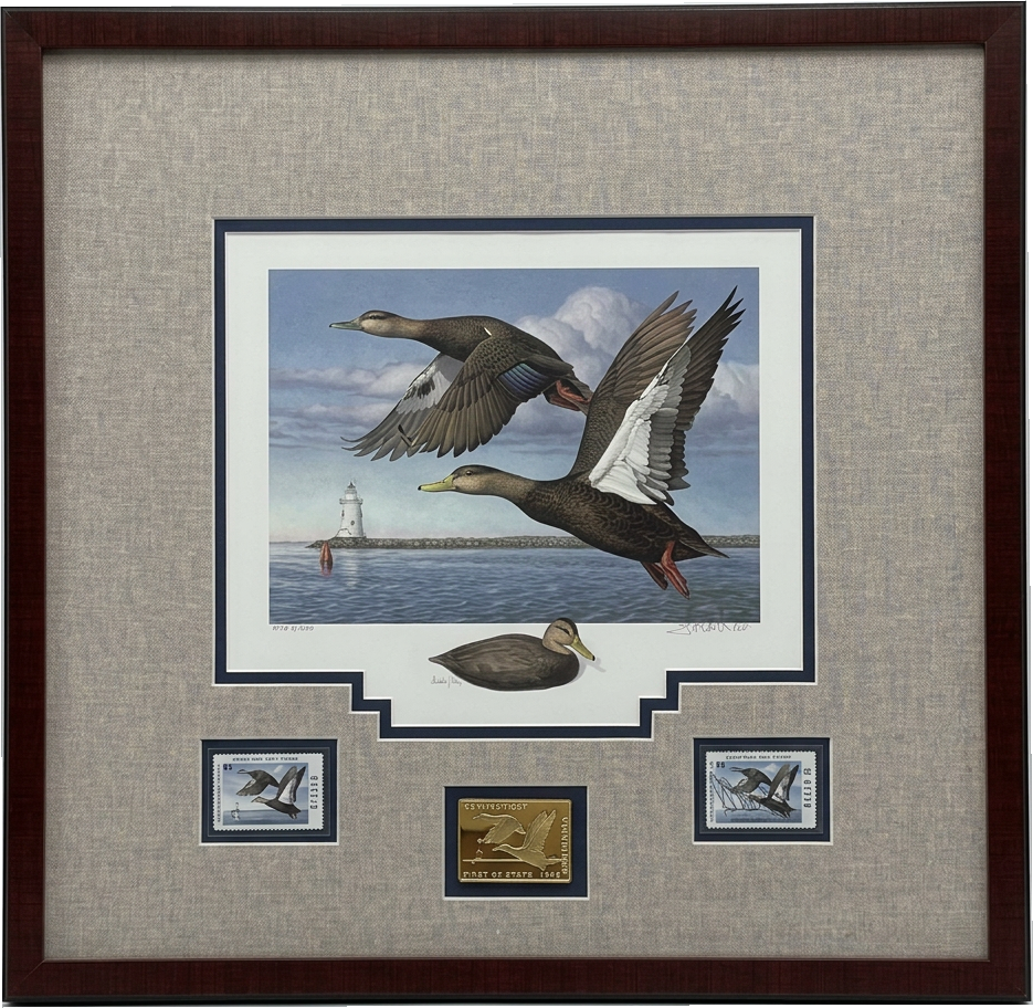 Duck stamp print: Print and three stamps in a linen mat with a stepped, double-cut opening.